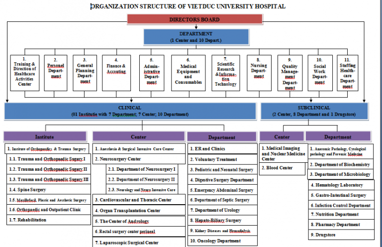 Organization structure | VIETDUC UNIVERSITY HOSPITAL